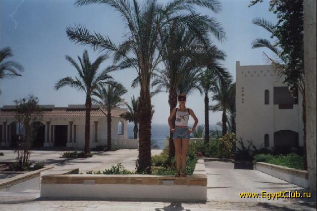 � ��� �� ����