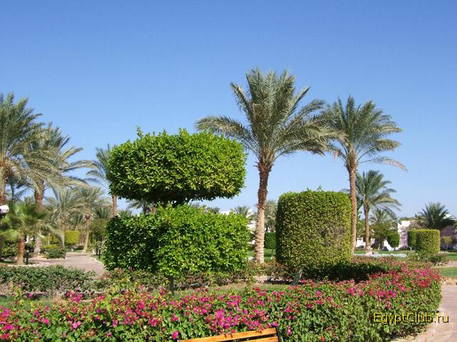 �������� ���������� �����