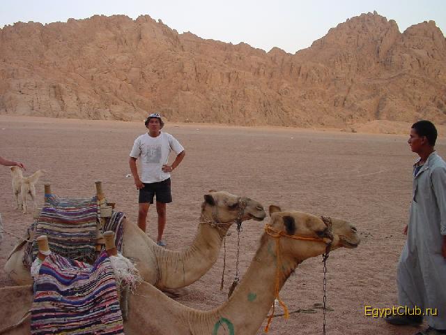 ��� � �����