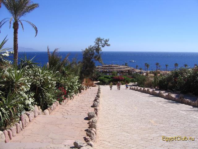 �� ������ � ����...