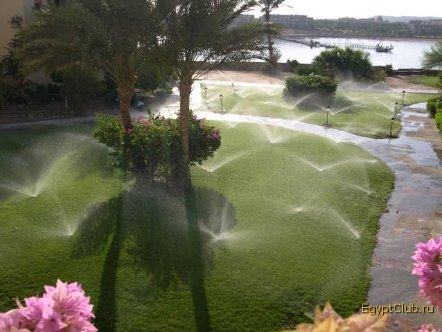 ��� � �������