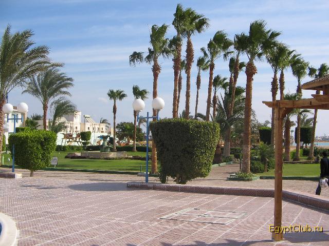 ������� 2006