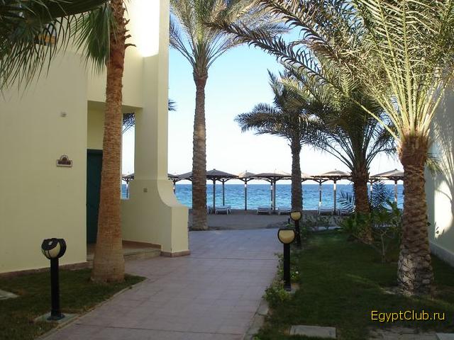 ��� �� ������