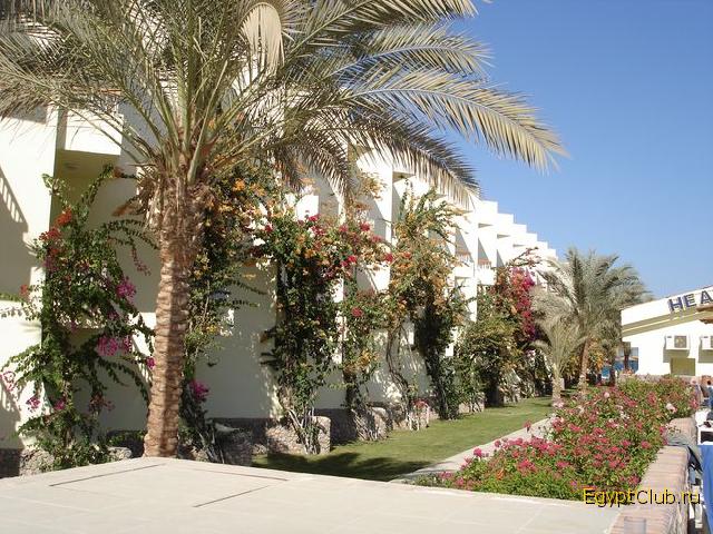 ����� ������