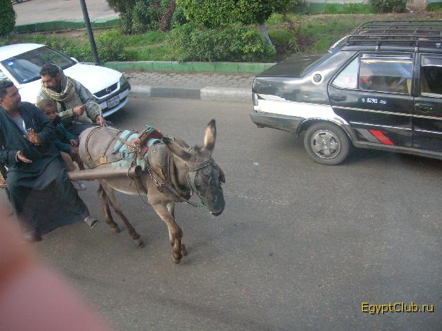 ��������� � �����