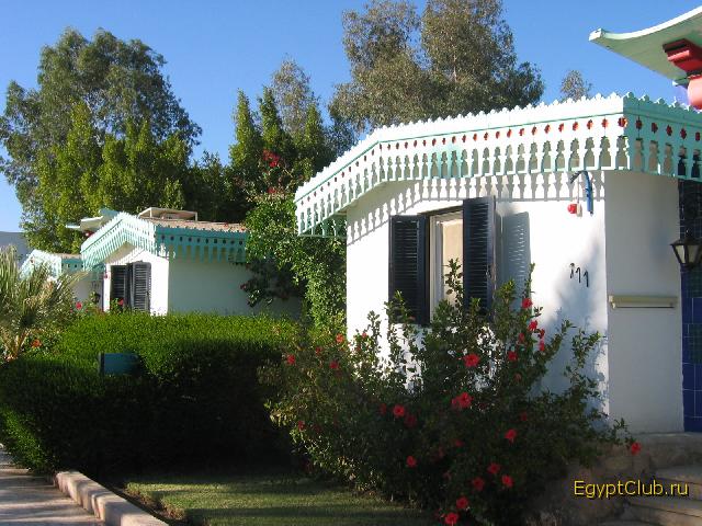 ���������� ������ ���