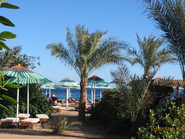 ���� ������