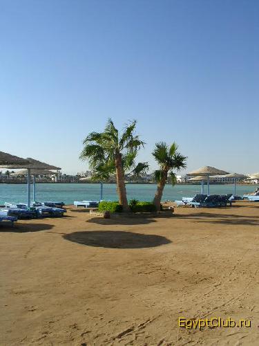 ��� ������