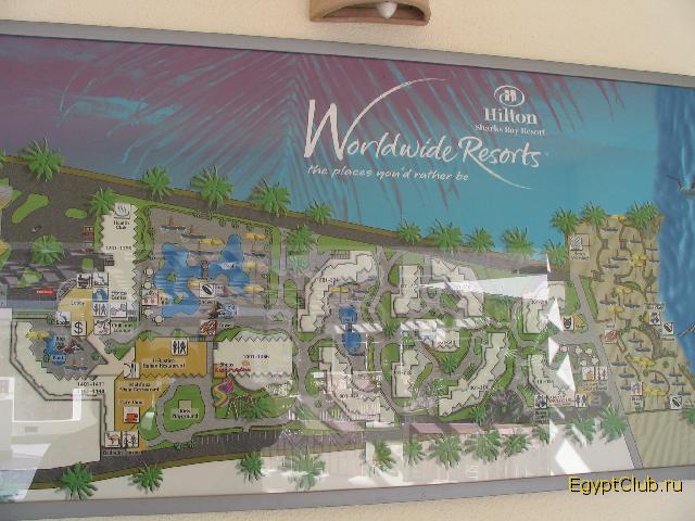 ���� �����