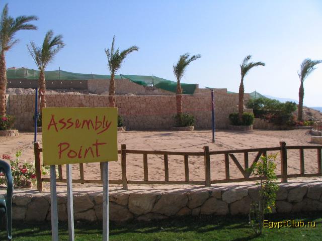 ������������ ��������