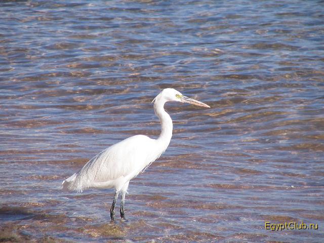 ������� ���������������������