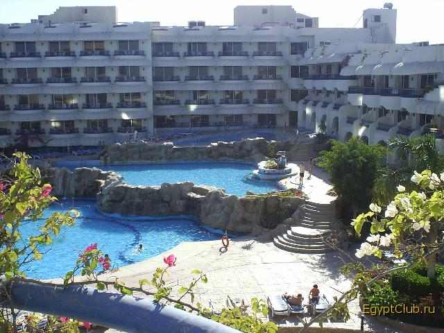 Sea Gull ������ 2006 ����