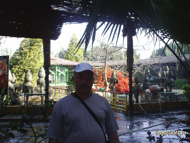 Sea Gull ������ 2006