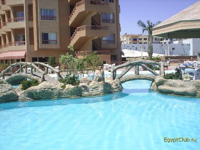 Sea Gull ������ 2006 ����