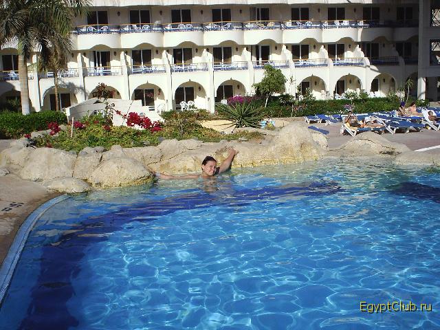 Sea Gull ������ 2006 ����