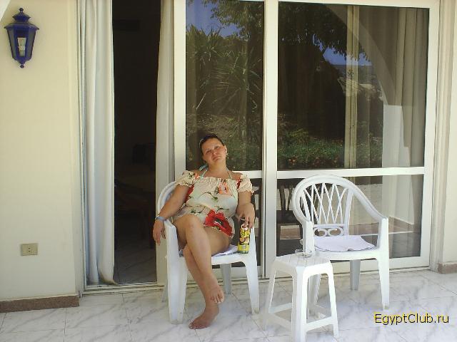 Sea Gull ������ 2006 ����