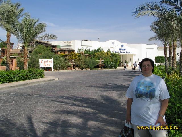 ����� ������ ����� ����