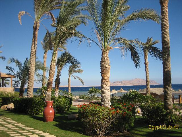 ������ 2006� ����� Melia Sinai 5* ���� ��� ����