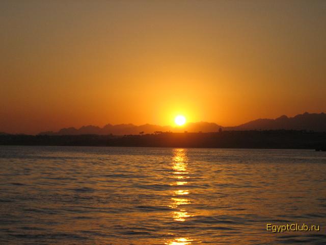 ������ 2006� ����� Melia Sinai 5* ���� ��� ����