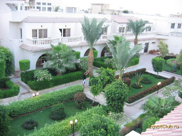 ���������� Waves