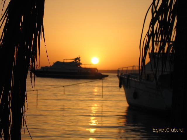 ������� �� ����� Waves