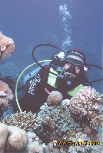 � �� �����