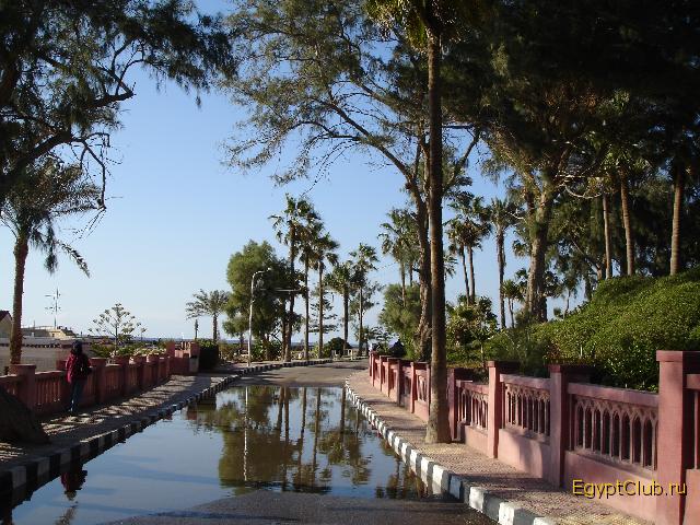 �����������