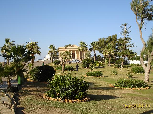 �����������