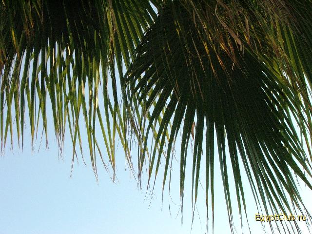 � ���� �����. �������!