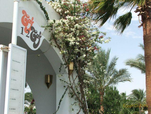 �����������...�������