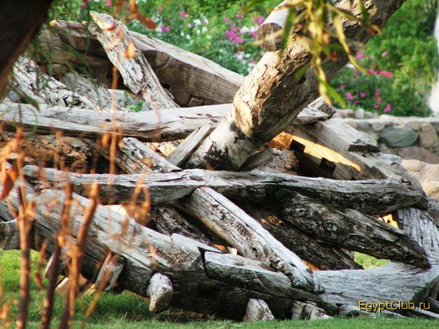 ������ ��������! ���������!