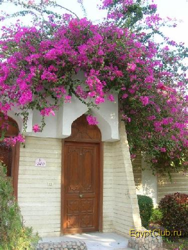 ���� � �������