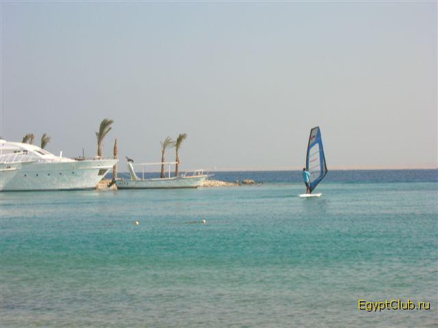 ���� ������ ���