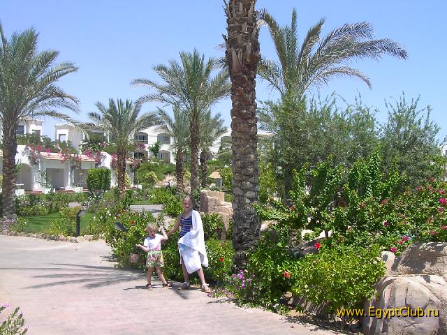 ����� � ������ ������