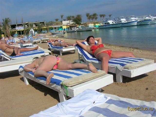 ����: �������