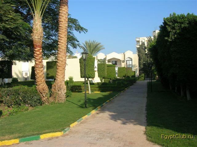 ����� � ����