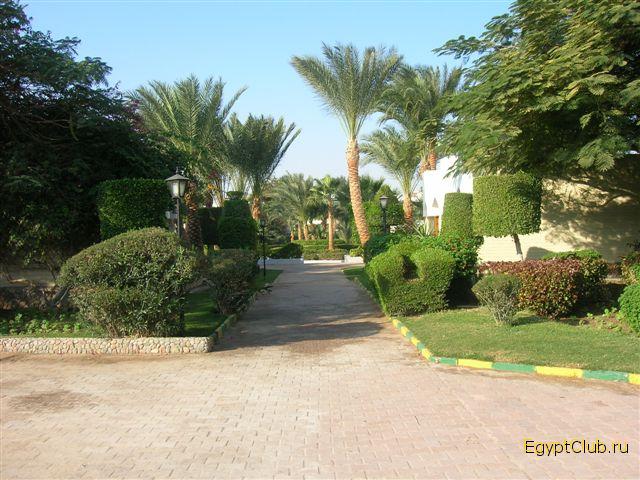 ����� � ����