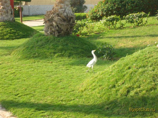 ������ � �����