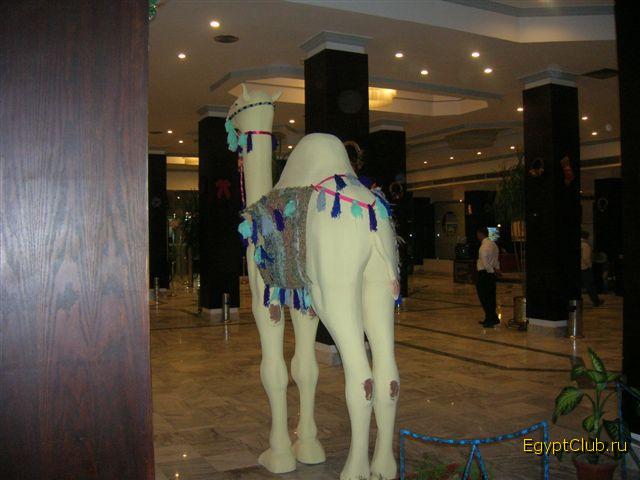 ���� ��������