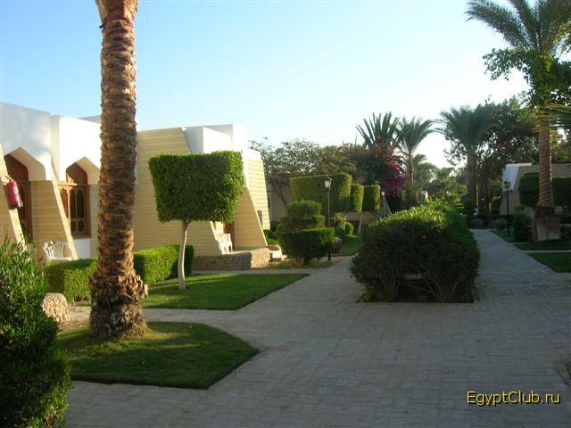 ����� � ����