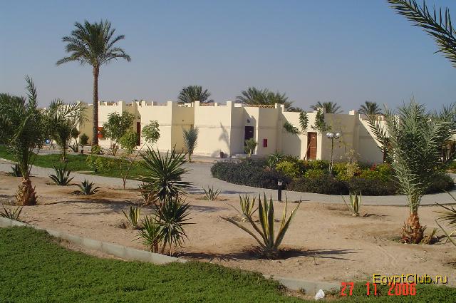 ��� �� ������ 2311