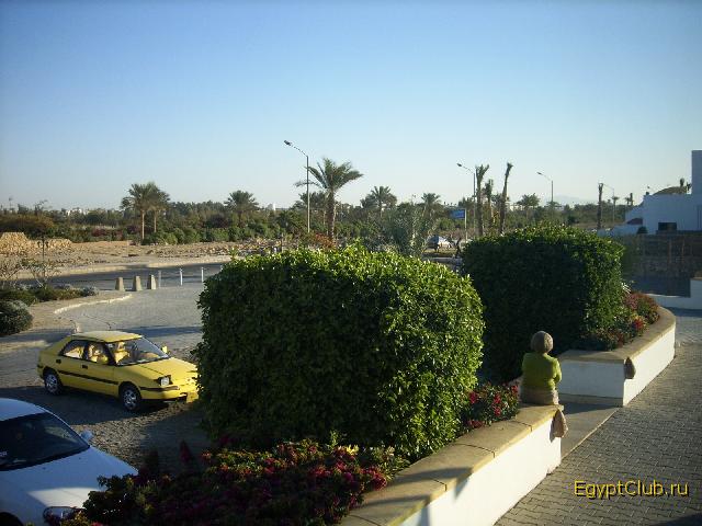 � ����� � �����