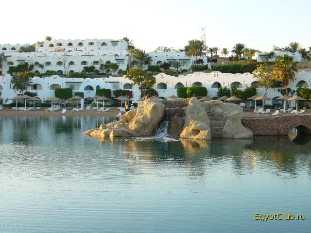 Domina- �����