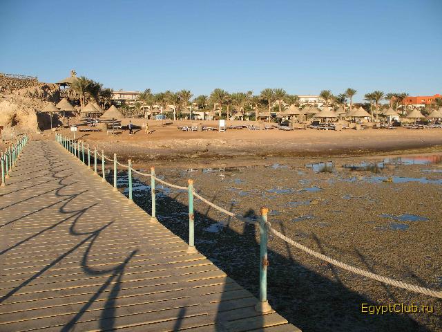 ���� ����� ����� �����