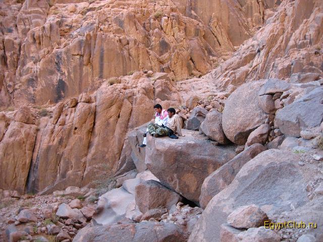 ����������