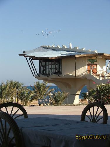 ��� �������