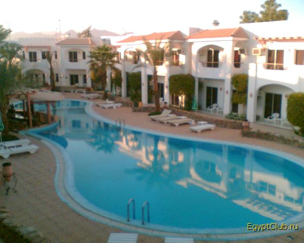 ��� �����