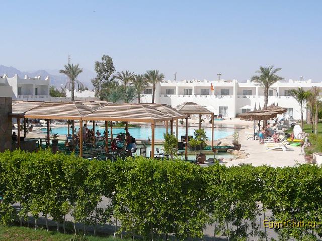 Reef Oasis Rama pool