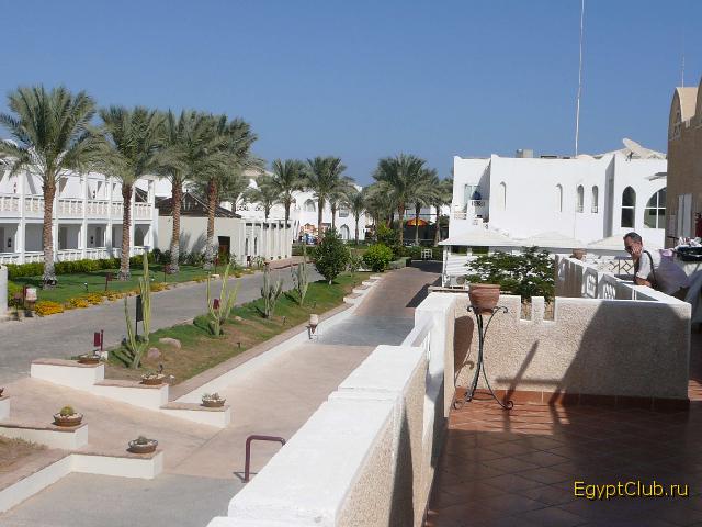 Reef Oasis ����������