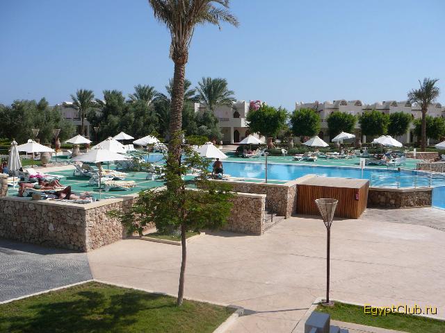 Reef Oasis ������